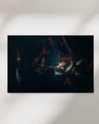 Koi circling through a Vietnam dark pond — fine-art photograph by Kayleigh Groenendijk