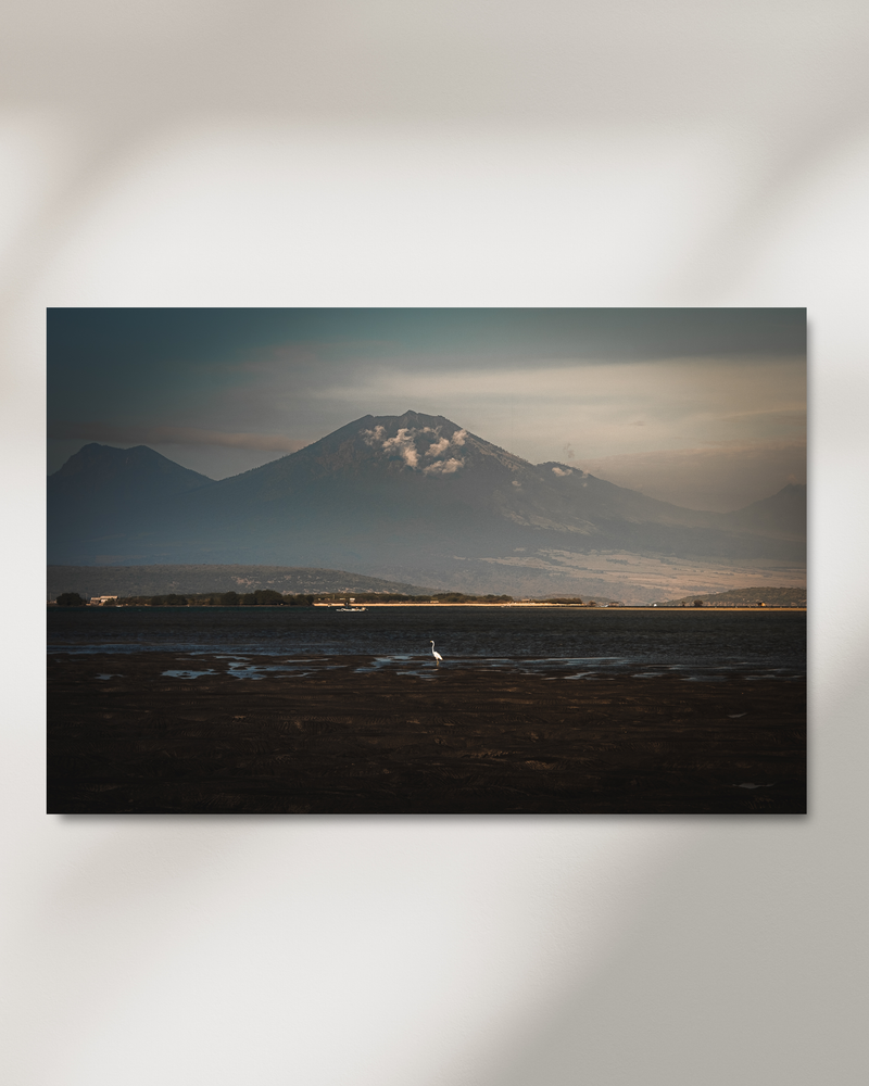 White heron standing before the volcano Mount Batur, Bali — fine-art photograph by Kayleigh Groenendijk