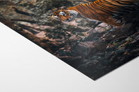 fine art print detail 1 