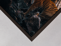 dark brown wooden box frame detail