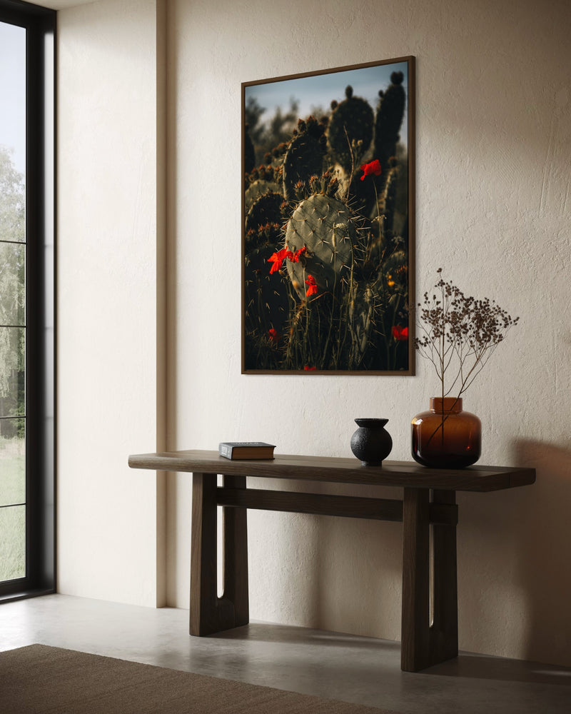 A flowering cactus in golden-hour light — fine-art photograph by Kayleigh Groenendijk