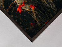 dark brown wooden box frame detail