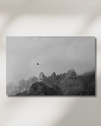 A bird of prey above misty mountain peaks — fine-art photograph by Kayleigh Groenendijk