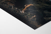 fine art print detail 1 