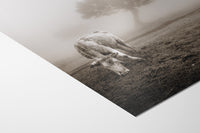 fine art print detail 1 