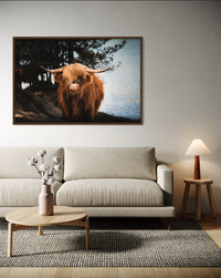 cottish Highland cow looking into the camera in a nature reserve — fine-art photograph by Kayleigh Groenendijk